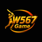 W567 Game